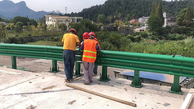 浙江高速公路护栏板的维护确保道路安全的关键环节